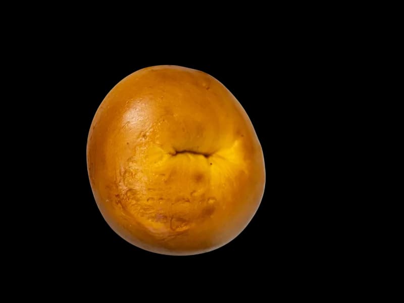 Egg