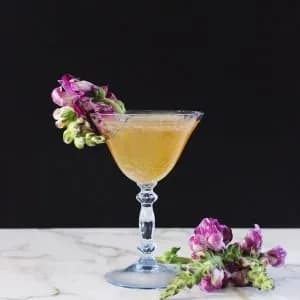 The Flying Fig Cocktail Kit