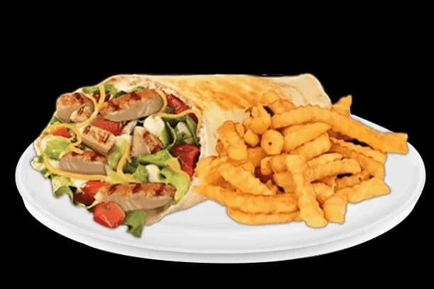 Chicken Gyro & Fries