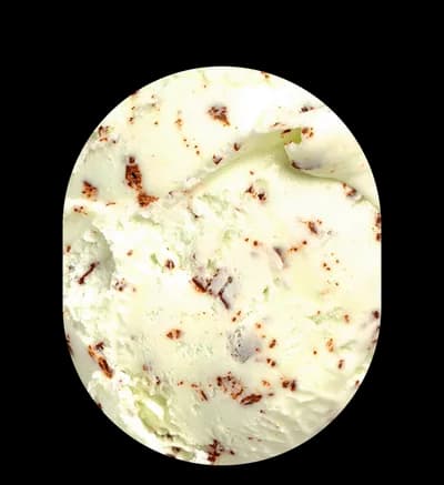 Mint Chocolate Chip