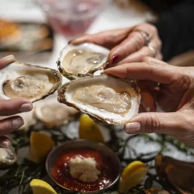 Oysters