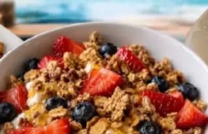 Yogurt & Fruit Bowl