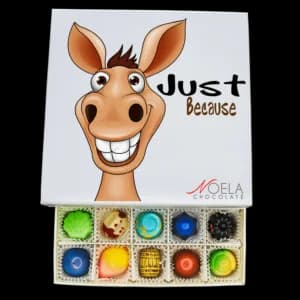 Donkey just because