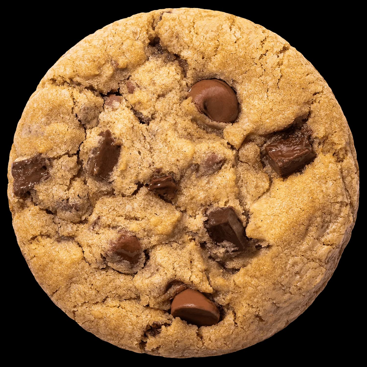 Chocolate Chip Cookie