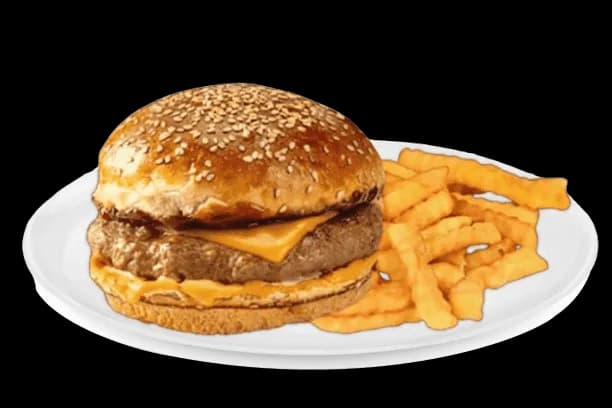 Cheese Burger & Fries