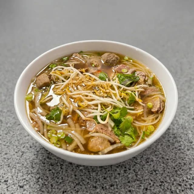 Deluxe Noodle Soup