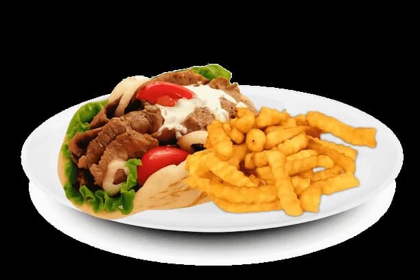Gyro & Fries