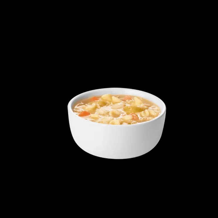Chicken Noodle Soup