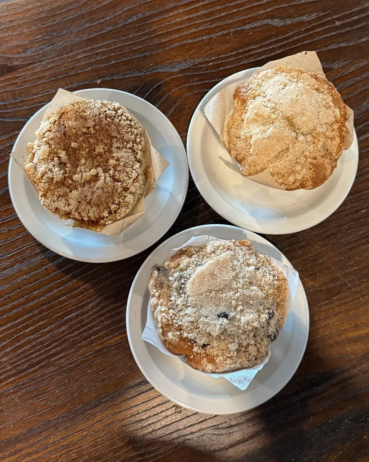 Blueberry Muffin