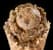 Chocolate Peanut Butter Buckeye