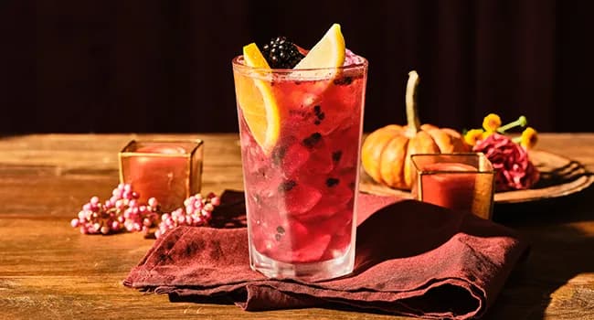 Blackberry Spritzer (Spirit-Free)