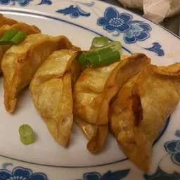 Fried Dumplings