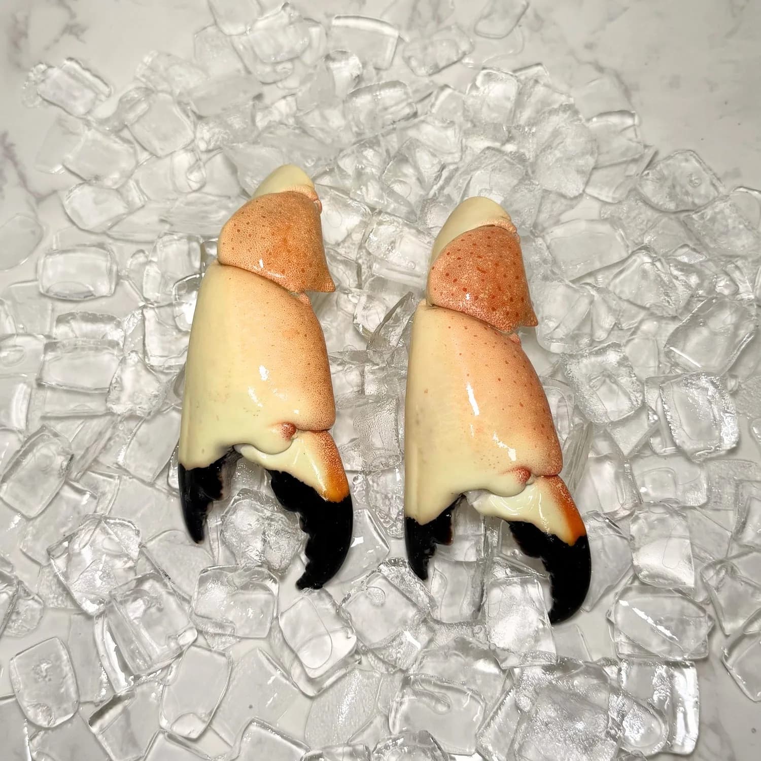 Jumbo Stone Crab Claws