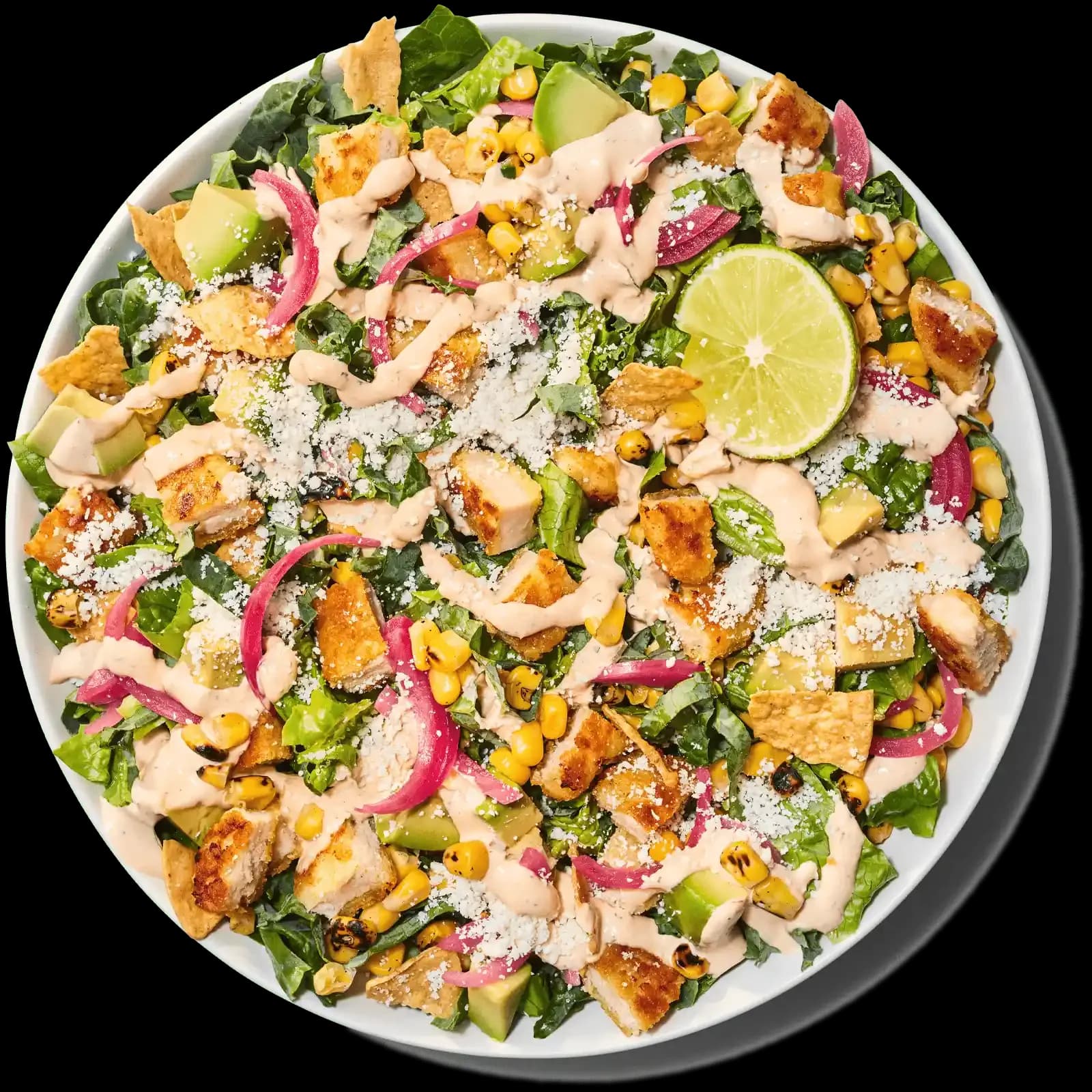 Crispy Chicken Poblano