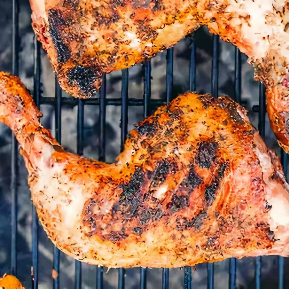 grilled chicken