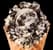 Cookies & Cream Made With OREO