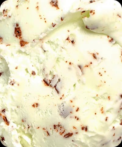 The Best Sellers Pack: Dairy-Free