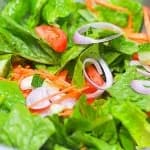 Garden Salad