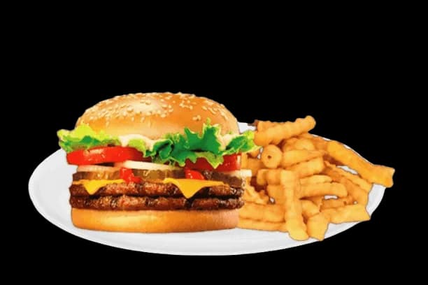 Double Burger & Fries