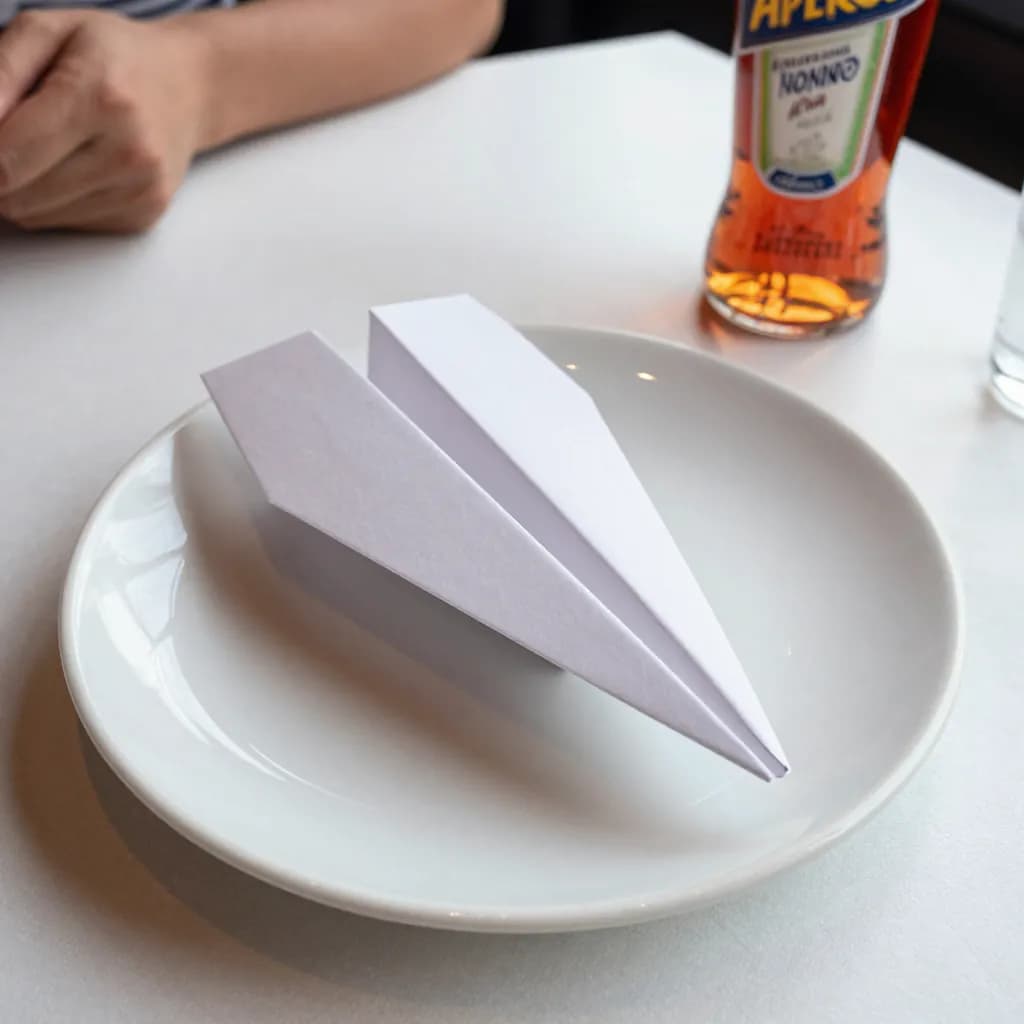Paper Airplane
