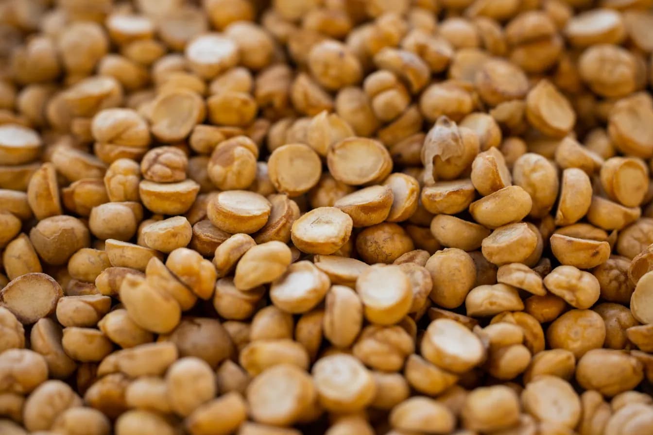 The Dry Roast