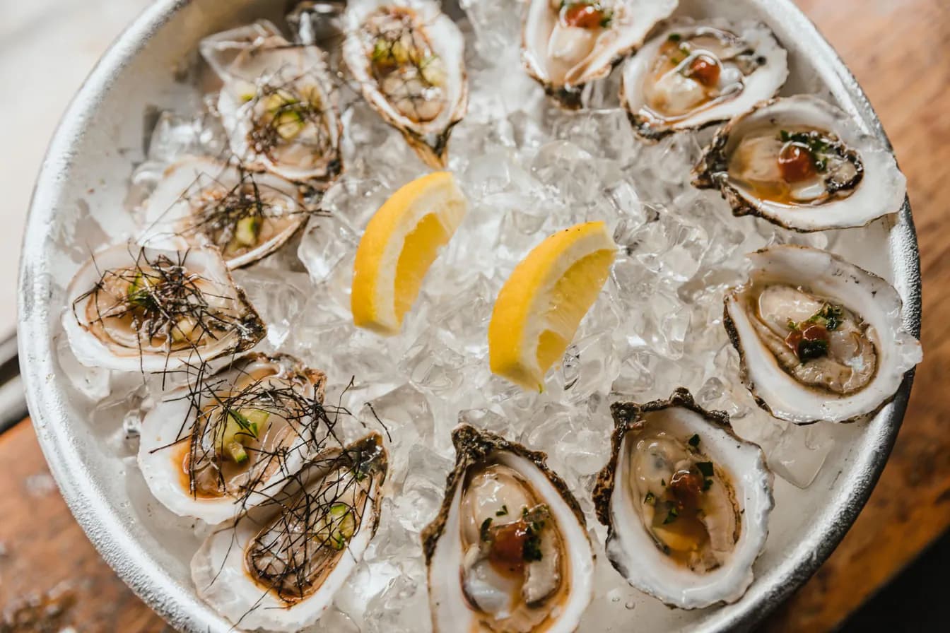 Daily Oyster