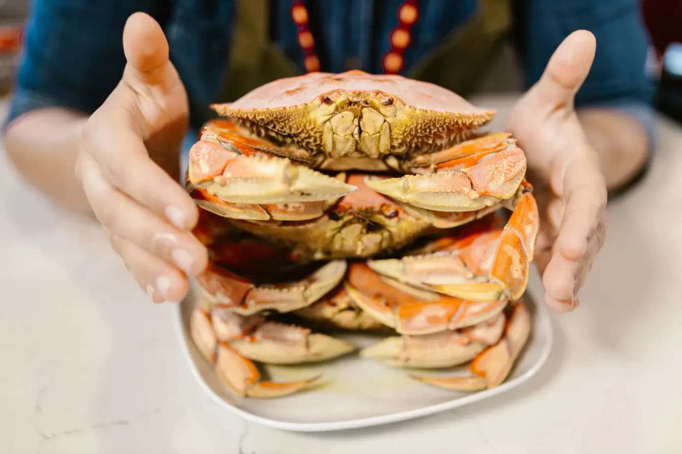 Dungeness Crab Dinner 1 1/4 lb.