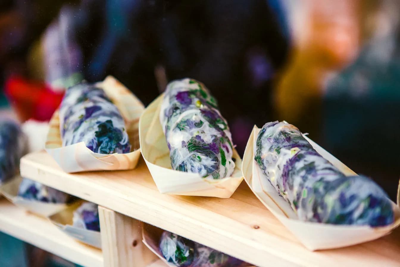 Hoisin Confit Duck & Veggie Spring Rolls
