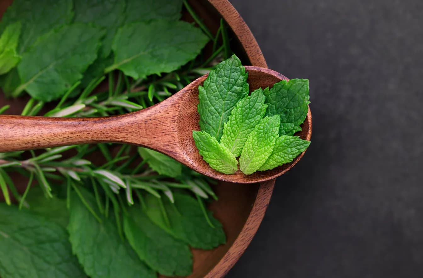 Organic Peppermint