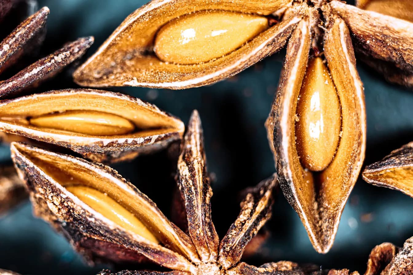 Anise