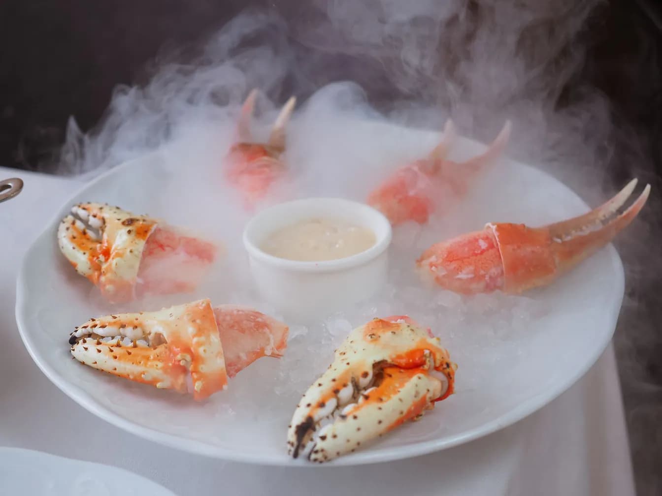 FLORIDA STONE CRAB