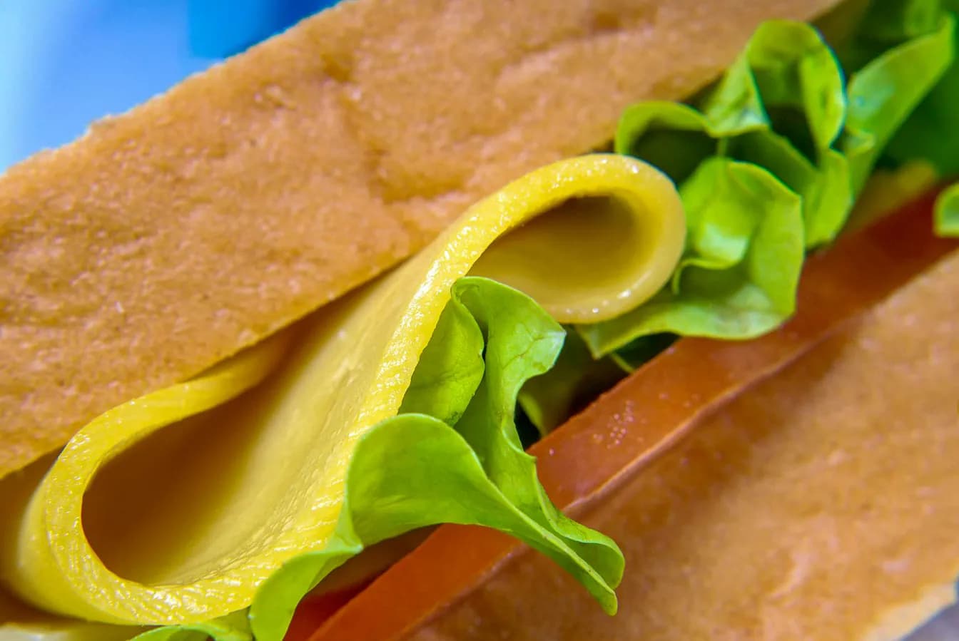 Turkey and Cheese