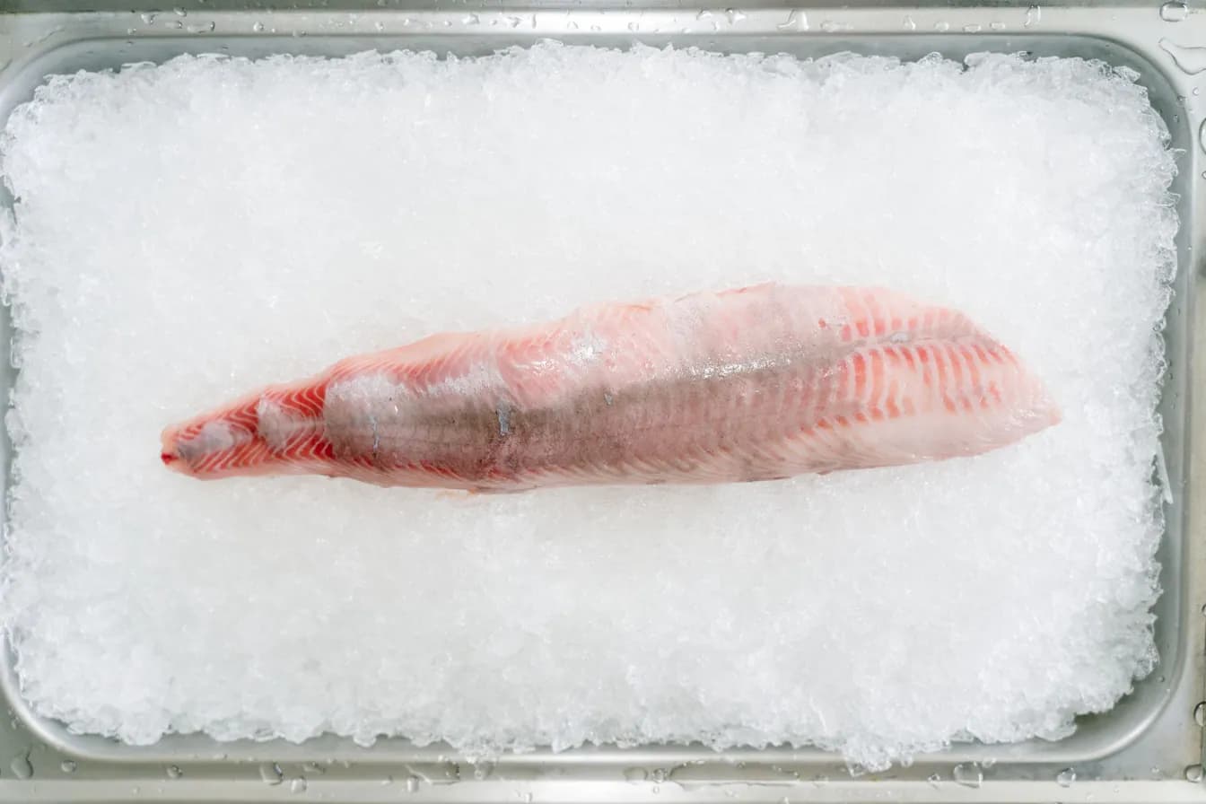 Basa Fillet (Groupers first cousin)