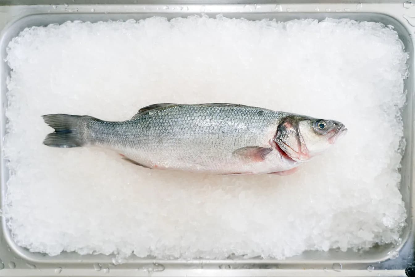 Whole Bronzino