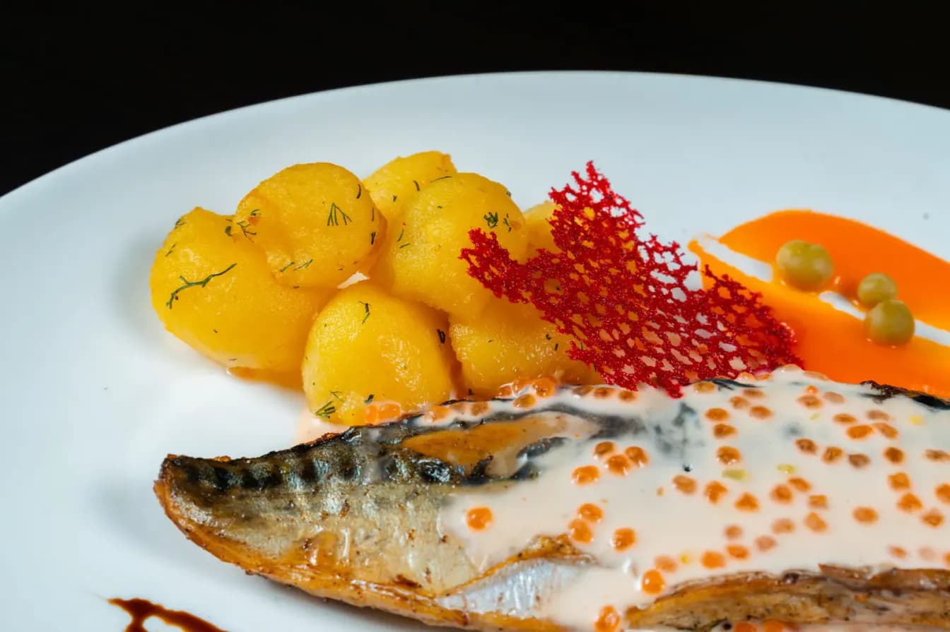 FILLET OF FISH