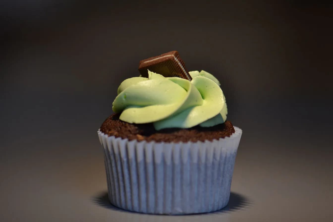 Mint Delight Cupcake