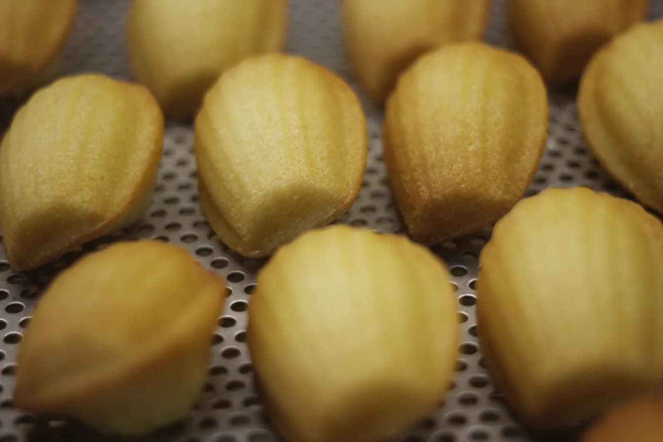 Madeleine