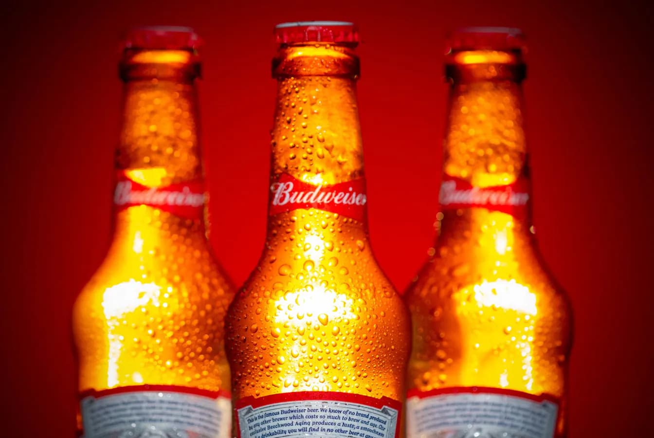 Bud Heavy