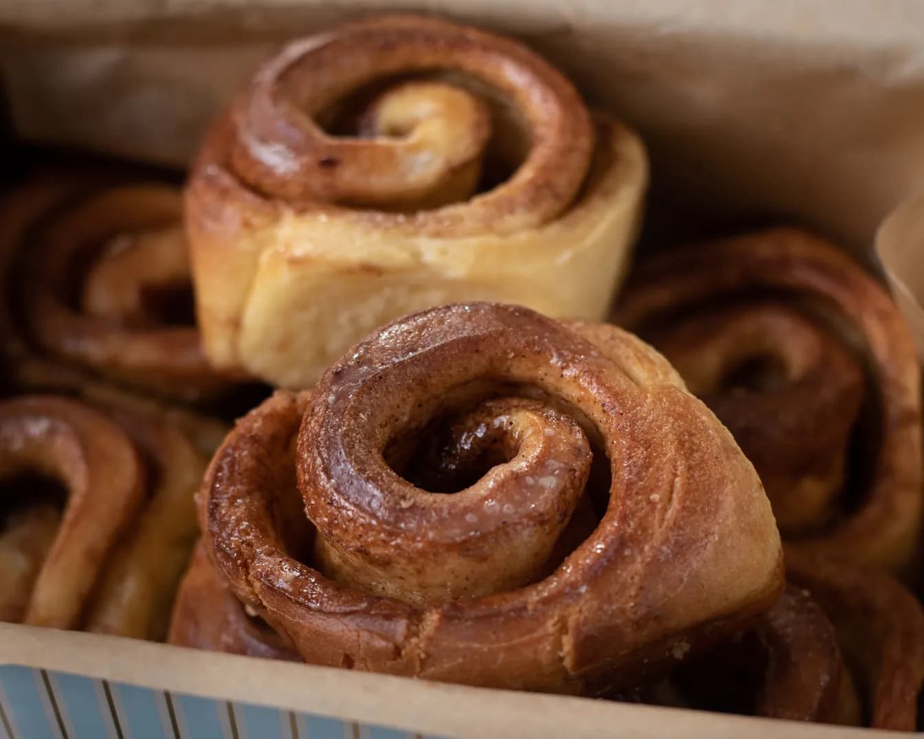 Cinnamon Bun