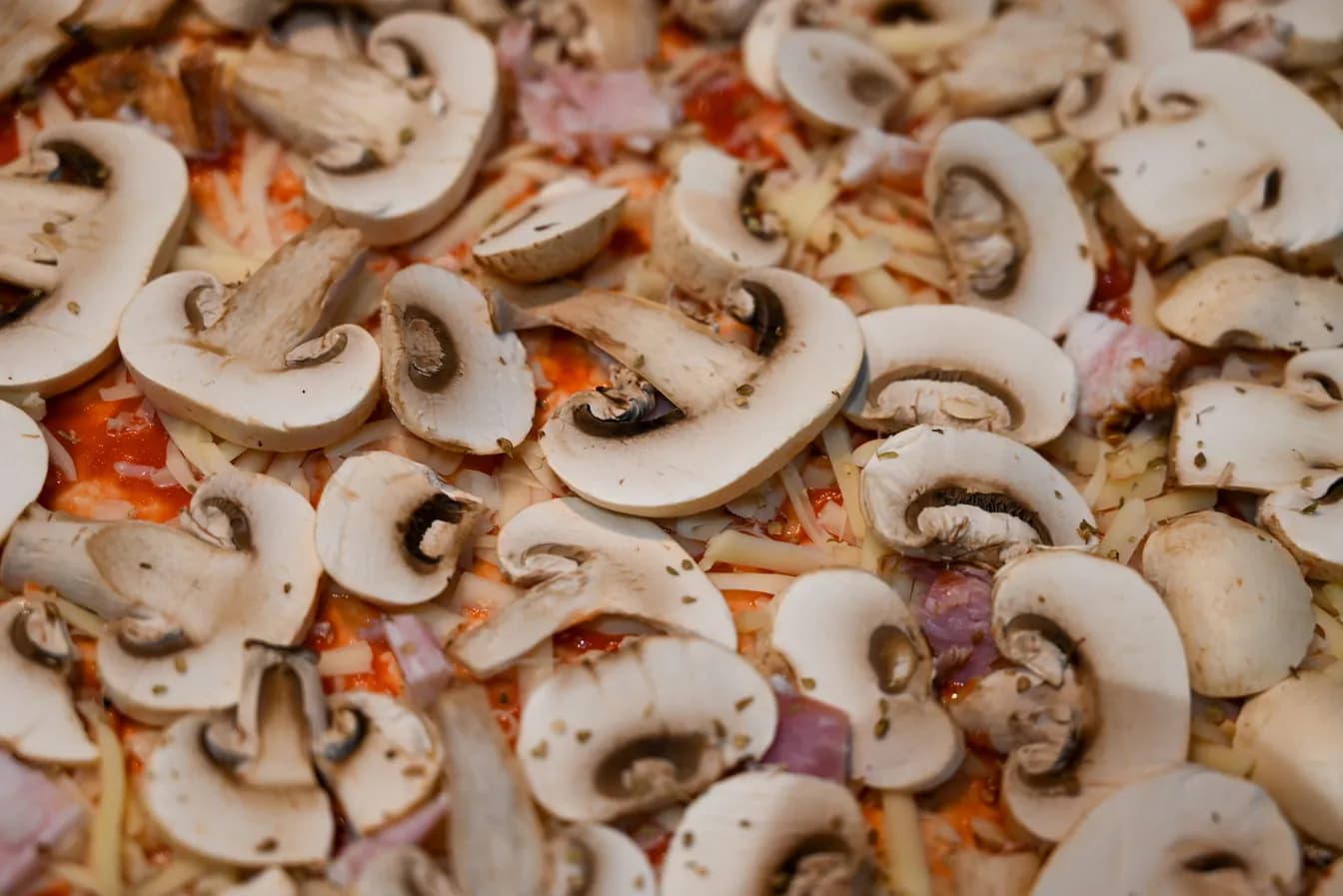 Funghi