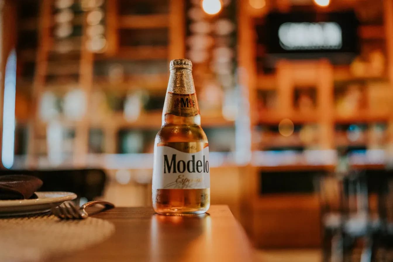 Modelo