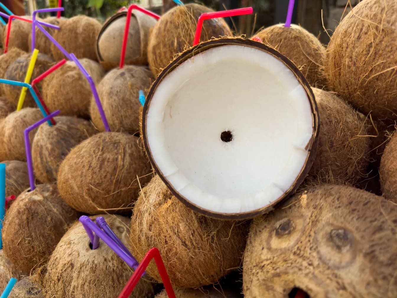 resting coconuts