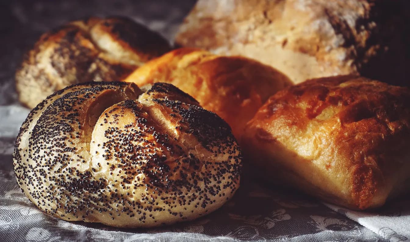 House Baked Bun
