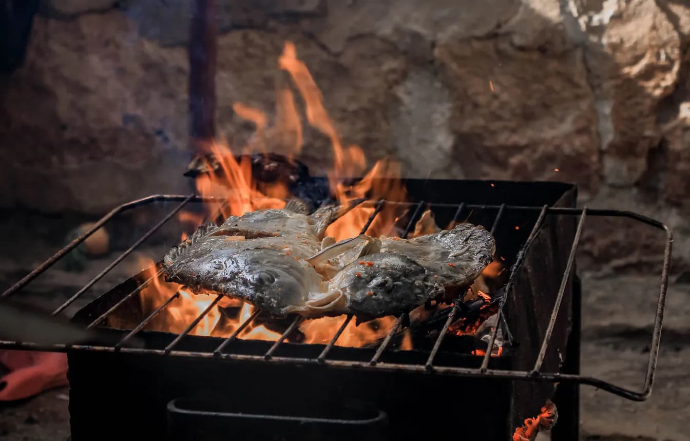 Grill Dried Filefish