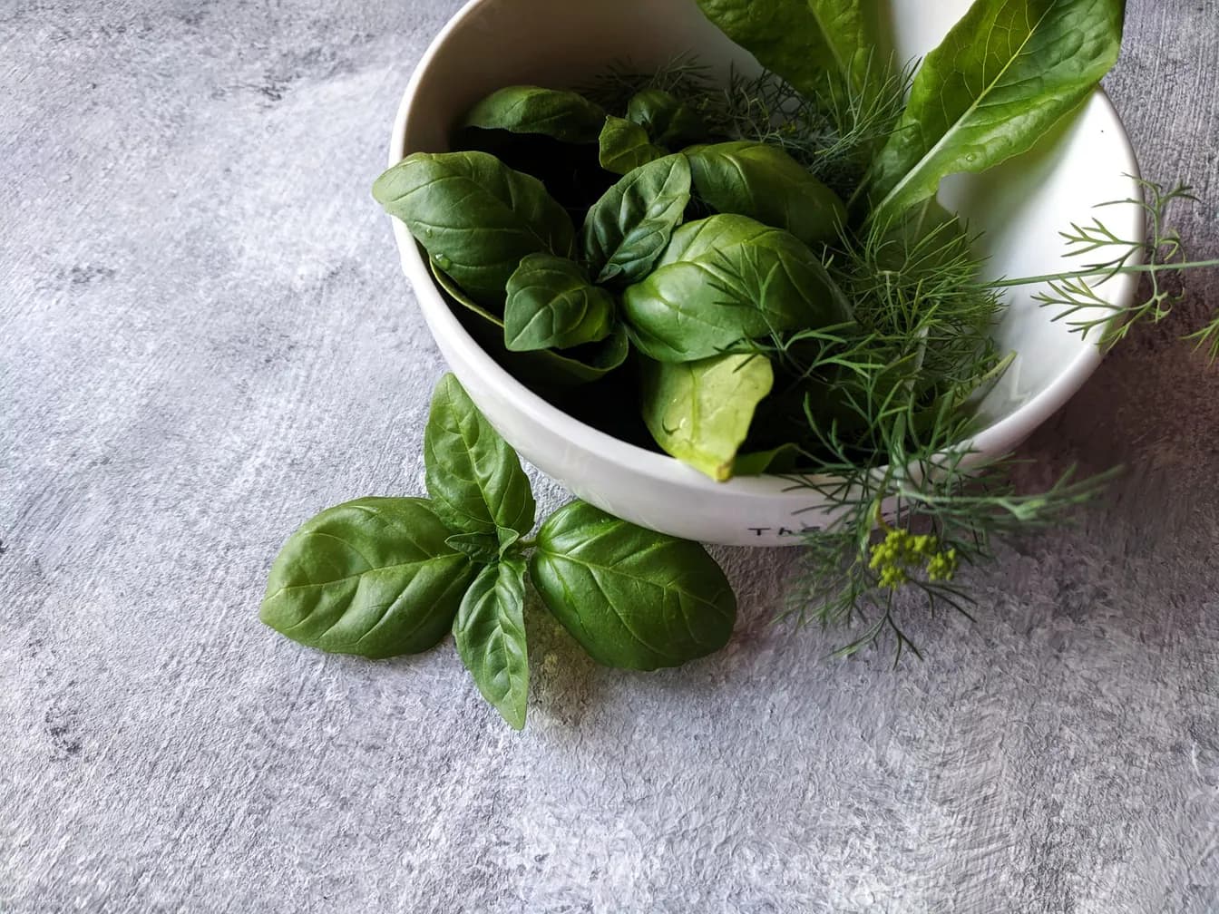 Healthy Herbs