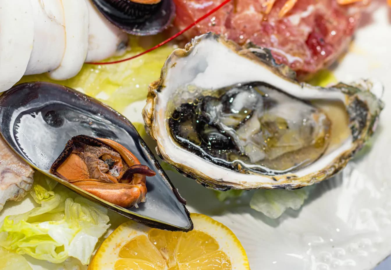 Green Mussel (1/2LB)