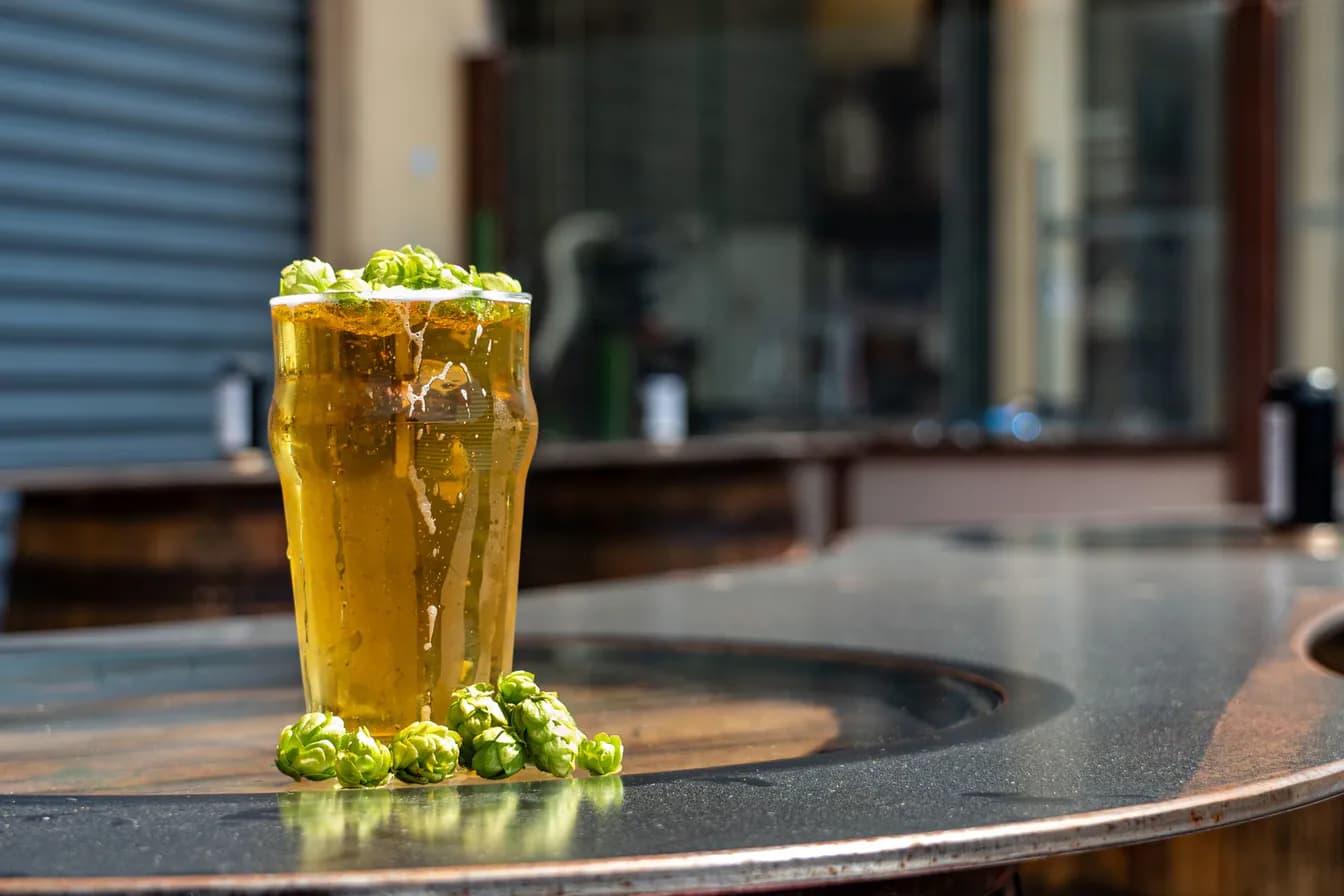 Hop Gun, Funky Buddha Brewery (Draft)