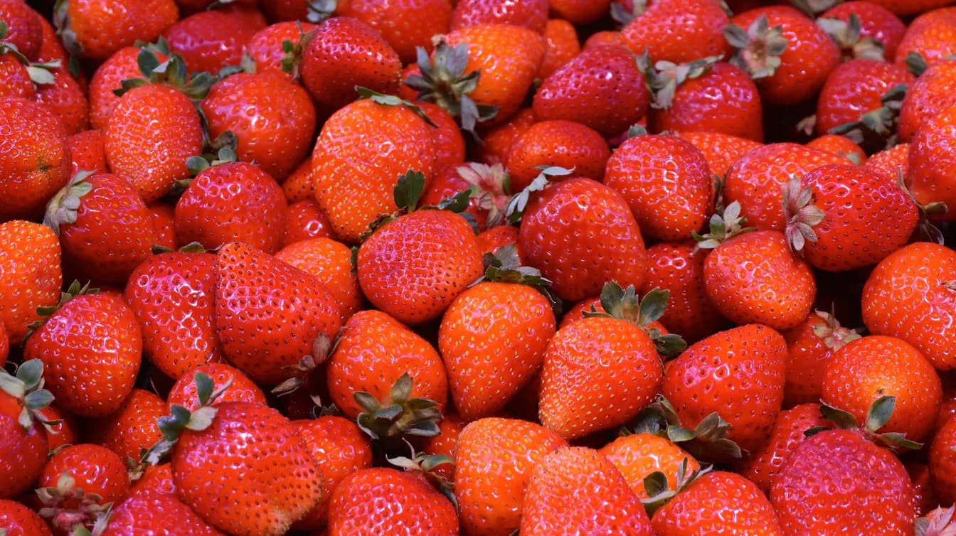 Champagne with Strawberries