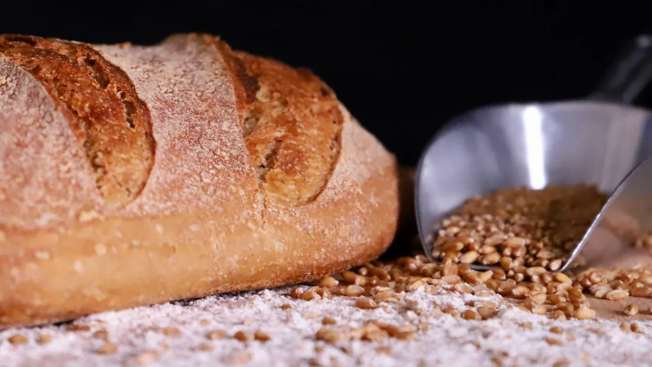 Organic Sourdough Loaf