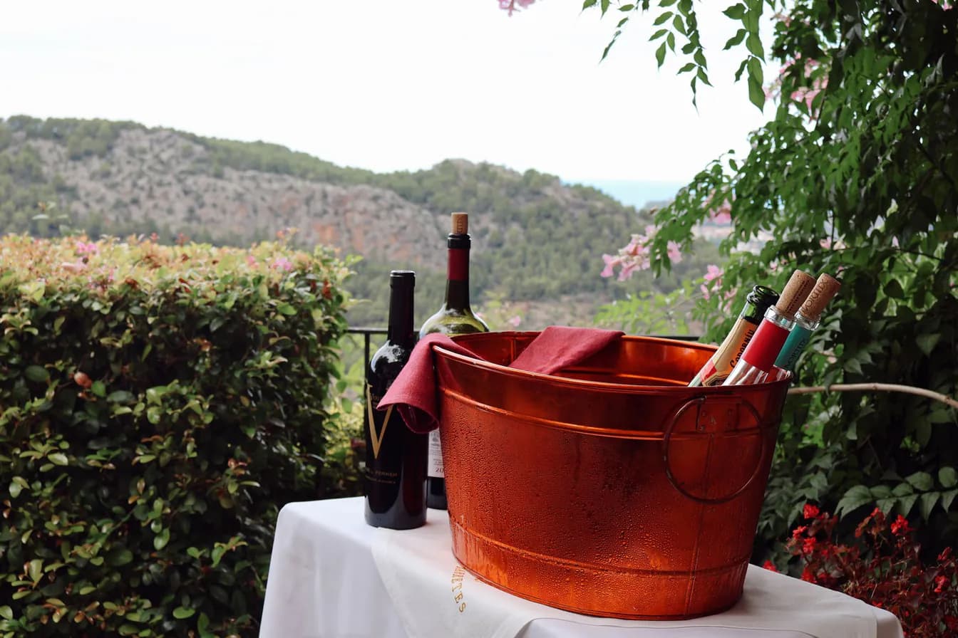 Monte Pio, Albarino, Rias Baixas, Spain